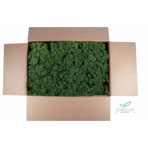 IJSLANDS MOS MOSGROEN 5KG