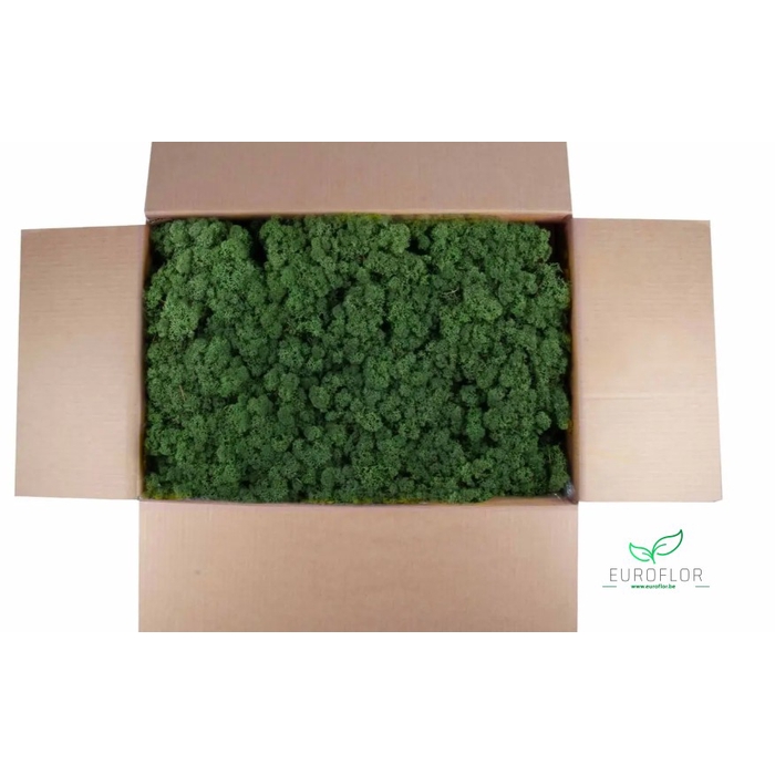 <h4>IJSLANDS MOS MOSGROEN 5KG</h4>