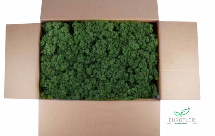 IJSLANDS MOS MOSGROEN 5KG