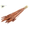 Triticum per bunch Copper + Glitter
