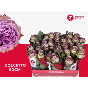 R Gr Dolcetto