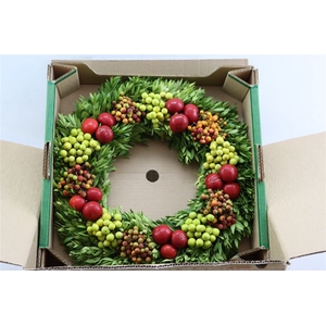 Wr Sierfruit 40cm (anttar)