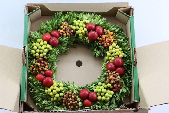 <h4>Wr Sierfruit 40cm (anttar)</h4>