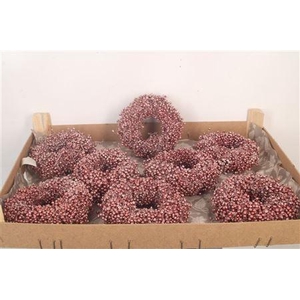 Krans Schinus Met. Red 12cm