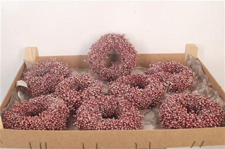 <h4>Krans Schinus Met. Red 12cm</h4>