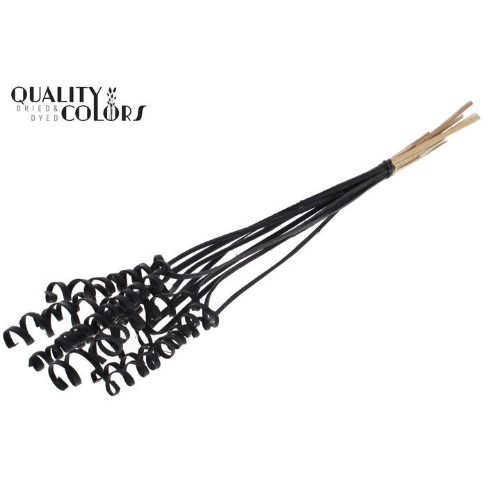 <h4>Cane Spring on stem Covered Black</h4>