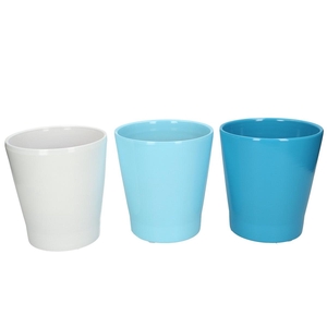 Promo Phal.pot d13*14cm