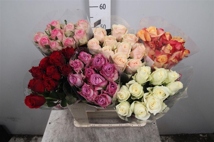 <h4>R Gr Gemengd In Fust</h4>