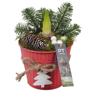 Opm Pt PTACH5870 Hipp X-mas Zink Pot