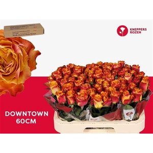 R Gr Downtown! 60