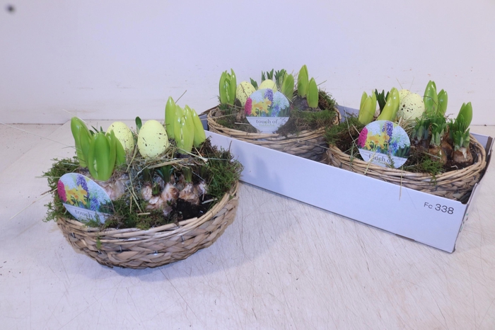 <h4>ARR BOL KNOLGEWAS</h4>