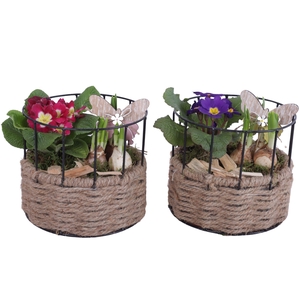 Early Spring Arr. Outdoor Metal Frame Rope Pot Round Ø17cm 2PP