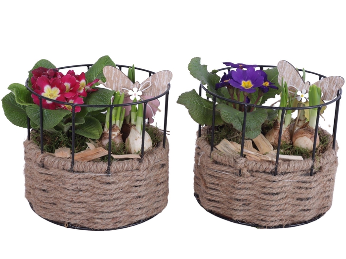 <h4>Early Spring Arr. Outdoor Metal Frame Rope Pot Round Ø17cm 2PP</h4>