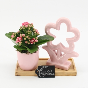 ESCR-2604RZ Essentials