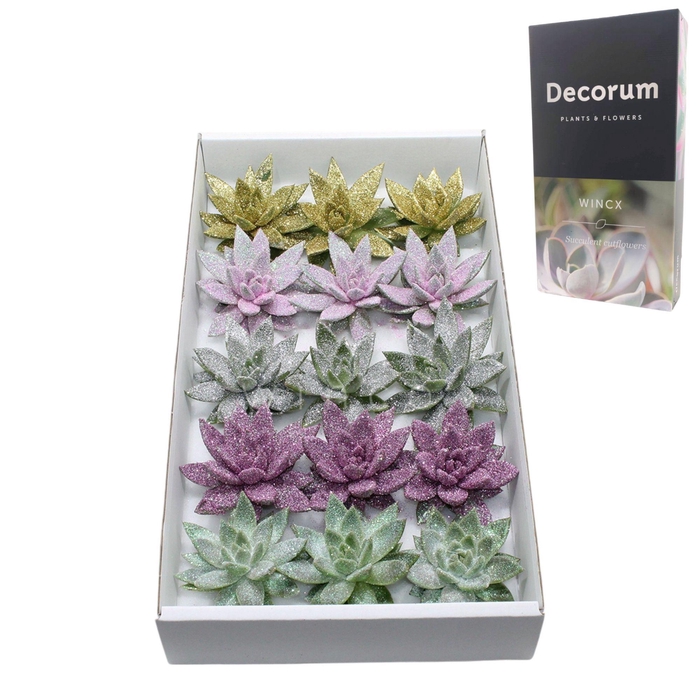 <h4>Ech Glitter Mix "Lovely Christmas" Cutfl Wincx-10cm</h4>