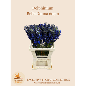 DELPH EN DELDON BLUE