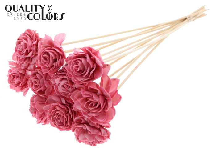 Shola Dahlia 6cm on stem Wax Light Pink