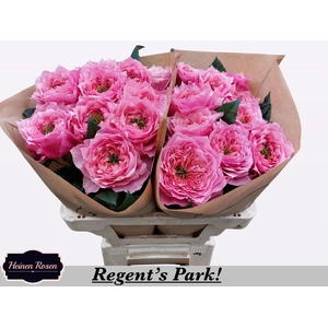 R GR REGENTS PARK!