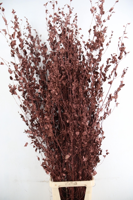 <h4>Betula met Blad Metallic Brown</h4>