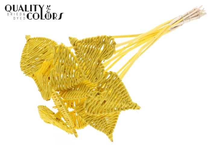 Lata Heart 8cm on stem Hat type Covered Yellow
