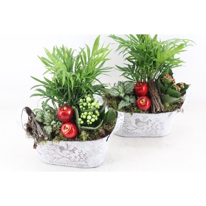 arr2 TD - Zink ovaal - rood/wit