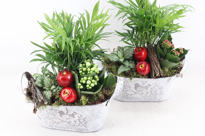 <h4>arr2 TD - Zink ovaal - rood/wit</h4>