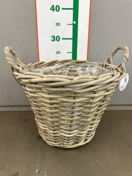 <h4>MAND ROTAN  D29XH22</h4>