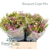 Bouquet Cape Mix