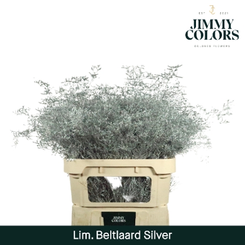 <h4>Lim Bel L90 Metallic silver</h4>