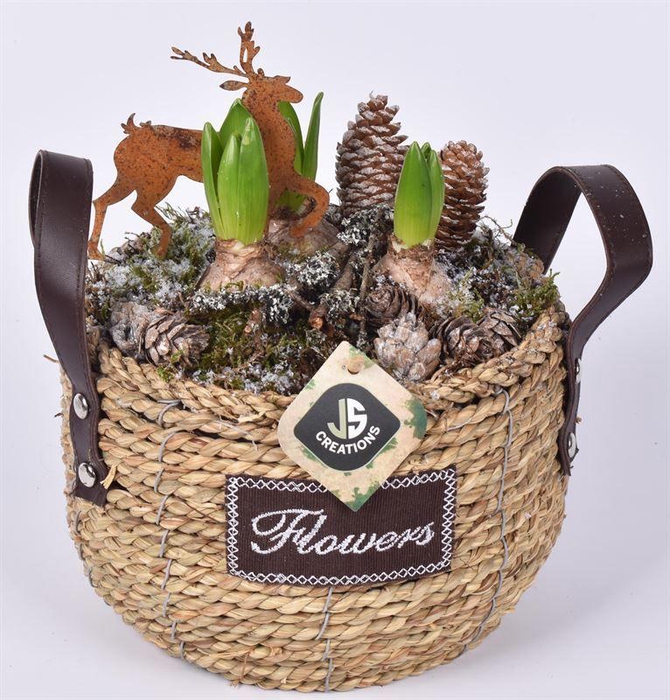 <h4>Touw mand 20cm</h4>