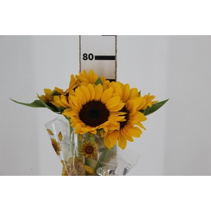 GIRASSOL 070 CM