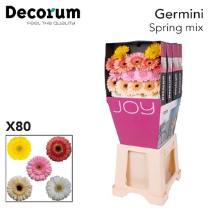 Germini Mix Spring Diamond