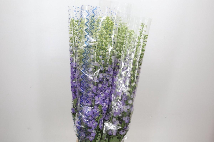 <h4>Delph Du Elatum Aurora Lavender</h4>