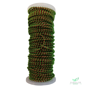 WIKKELDRAAD TWO TONE - APPELGROEN rond ROOD - 100GR 10M