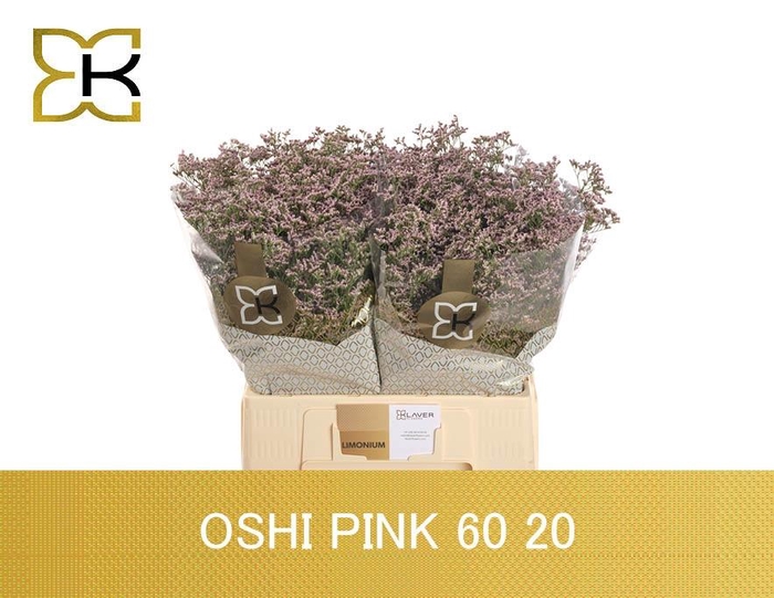 <h4>LIM SAF OSHI PINK</h4>