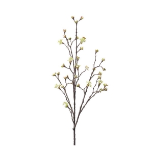 Maple fruit spray cream 110cm