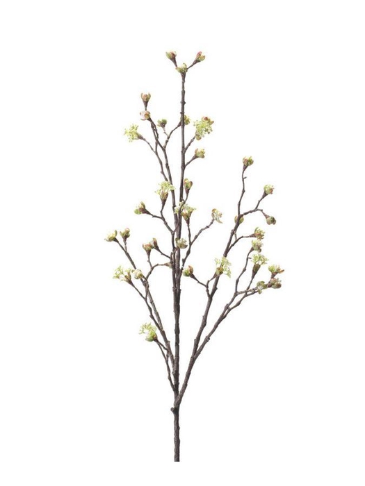 <h4>Maple fruit spray cream 110cm</h4>