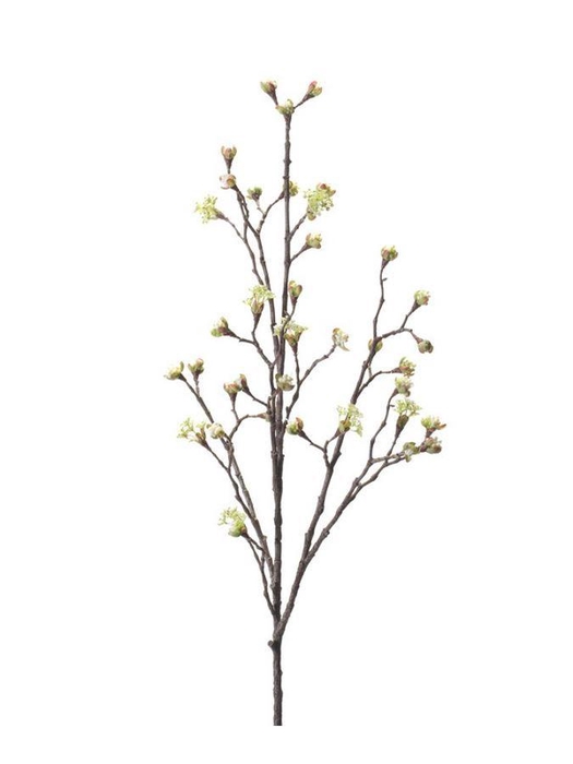 <h4>Maple fruit spray cream 110cm</h4>
