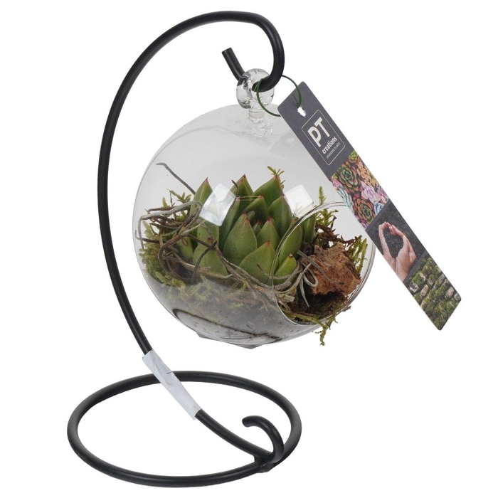 <h4>PTGIG2111 Arrangement Greens in glass in glazen bol met metalen standaard</h4>