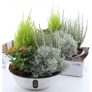 ARR TUINPLANTEN
