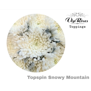 CHR G TOPSPIN SNOWY MOUNTAIN