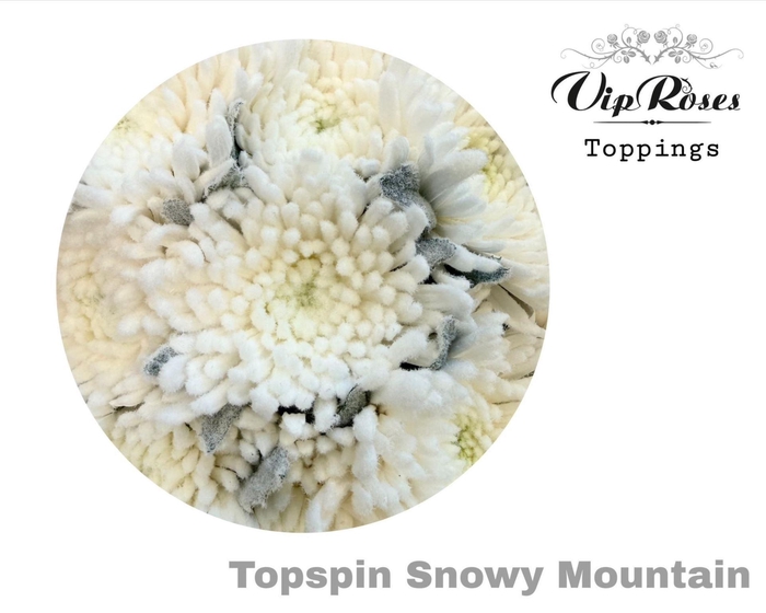 <h4>CHR G TOPSPIN SNOWY MOUNTAIN</h4>