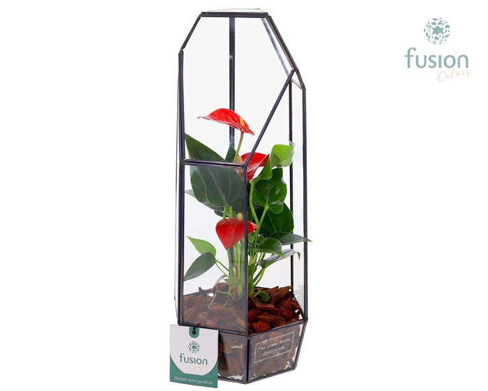 <h4>Metalen Lantaarn met Anthurium</h4>