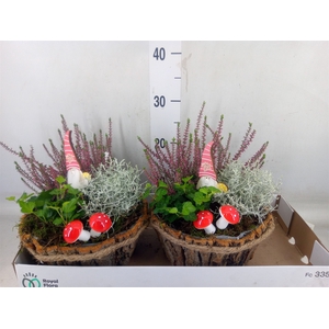 Arr.   Tuinplanten L%