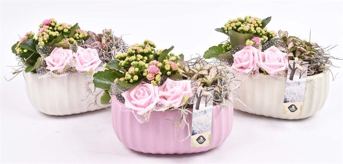 <h4>Keramiek ovaal mix kleur 18,5x12cm</h4>