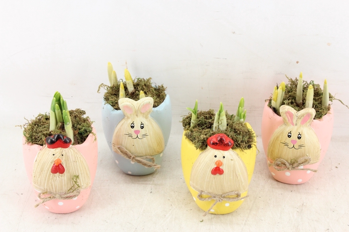 <h4>arr4 Narcis FL - Easter bunny/chicken</h4>