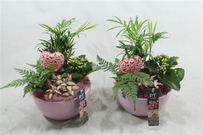 <h4>2214 ROZE KER CHAM</h4>