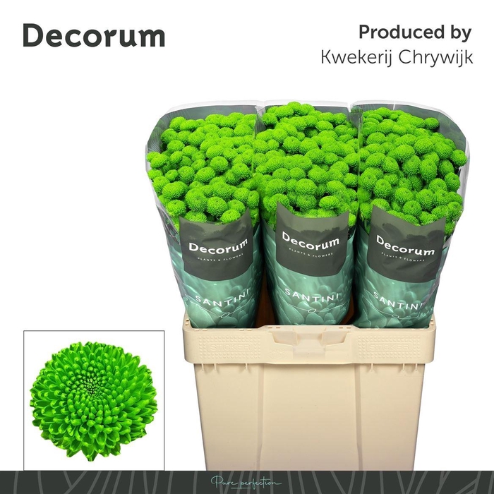 <h4>Chr S Aaa Peptalk</h4>