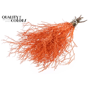 Huckelberry per bunch Orange