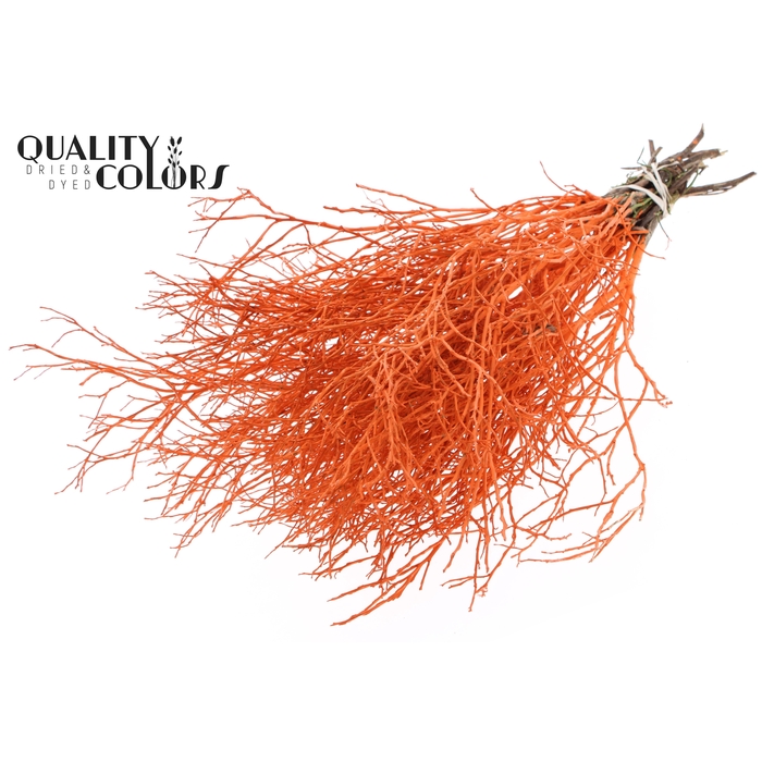 <h4>Huckelberry per bunch Orange</h4>